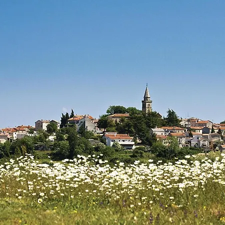 Amazing In * Modrusani